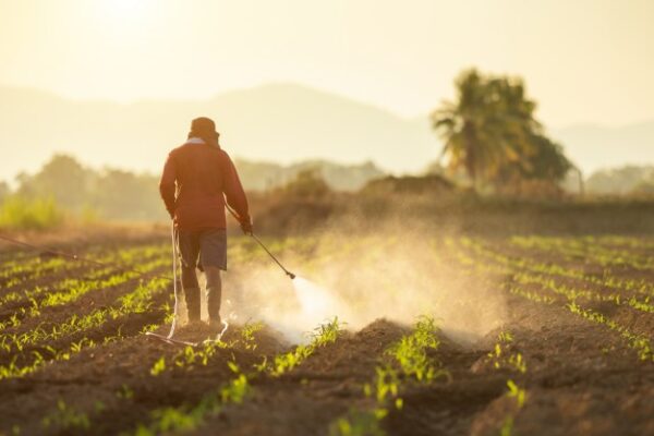 „Gestionarea irațională a pesticidelor – factor de risc pentru sănătatea umană”
