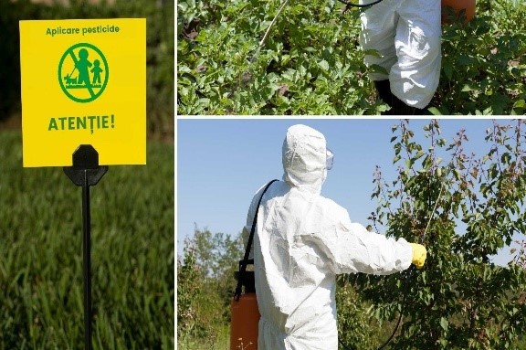 ANSP atenționează populația să fie prudentă la utilizarea pesticidelor 